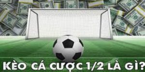 kèo 1/2