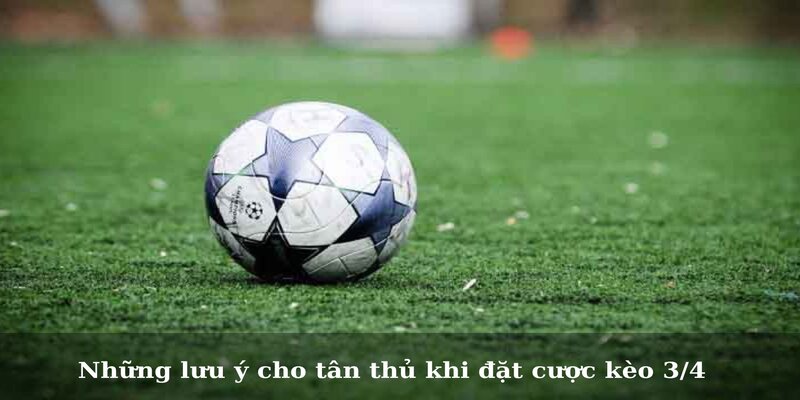 Kèo 3/4 Là Gì Và Cách Đánh Kèo Hiệu Quả Nhất 4 Những lưu ý cho tân thủ khi đặt cược kèo 3/4