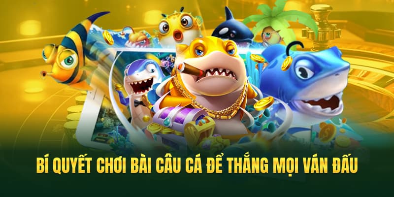 Cách Chơi Bài Câu Cá - Hướng Dẫn Chi Tiết Từ TIP88 3 Bí quyết chơi bài câu cá để thắng mọi ván đấu