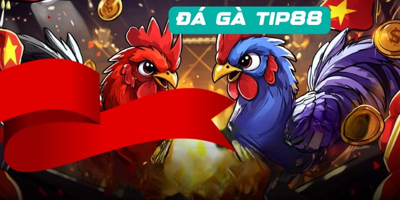 Đá Gà Tip88 - So Tài Sức Mạnh Cùng Những Chiến Kê Hàng Đầu 1 Các loại hình đá gà tip88