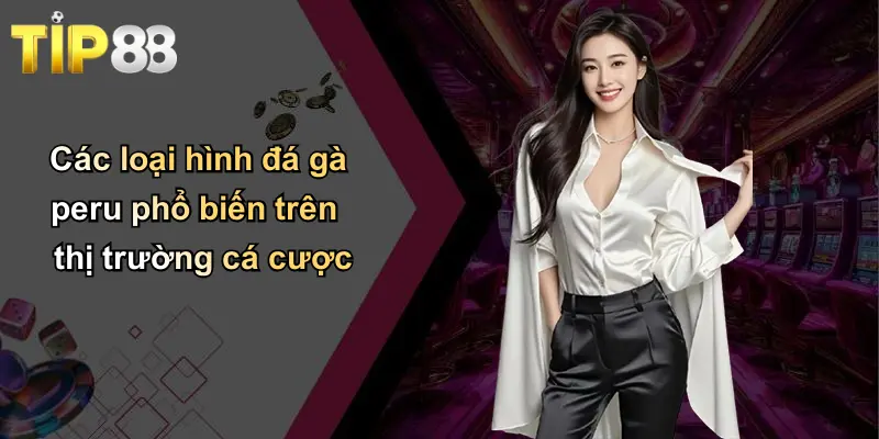 Các loại hình đá gà peru phổ biến trên thị trường cá cược