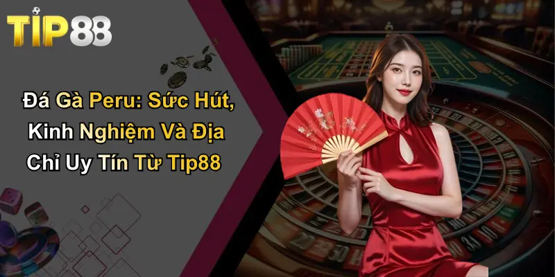 Đá Gà Peru: Sức Hút, Kinh Nghiệm Và Địa Chỉ Uy Tín Từ Tip88