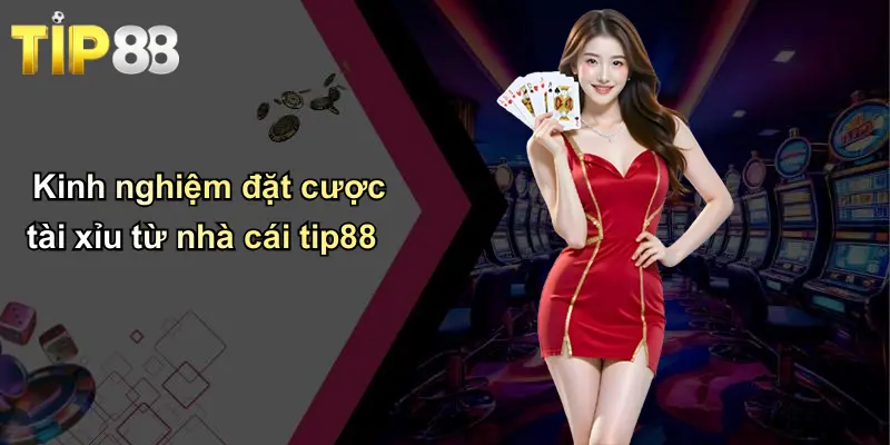 Kinh nghiệm đặt cược tài xỉu từ nhà cái tip88